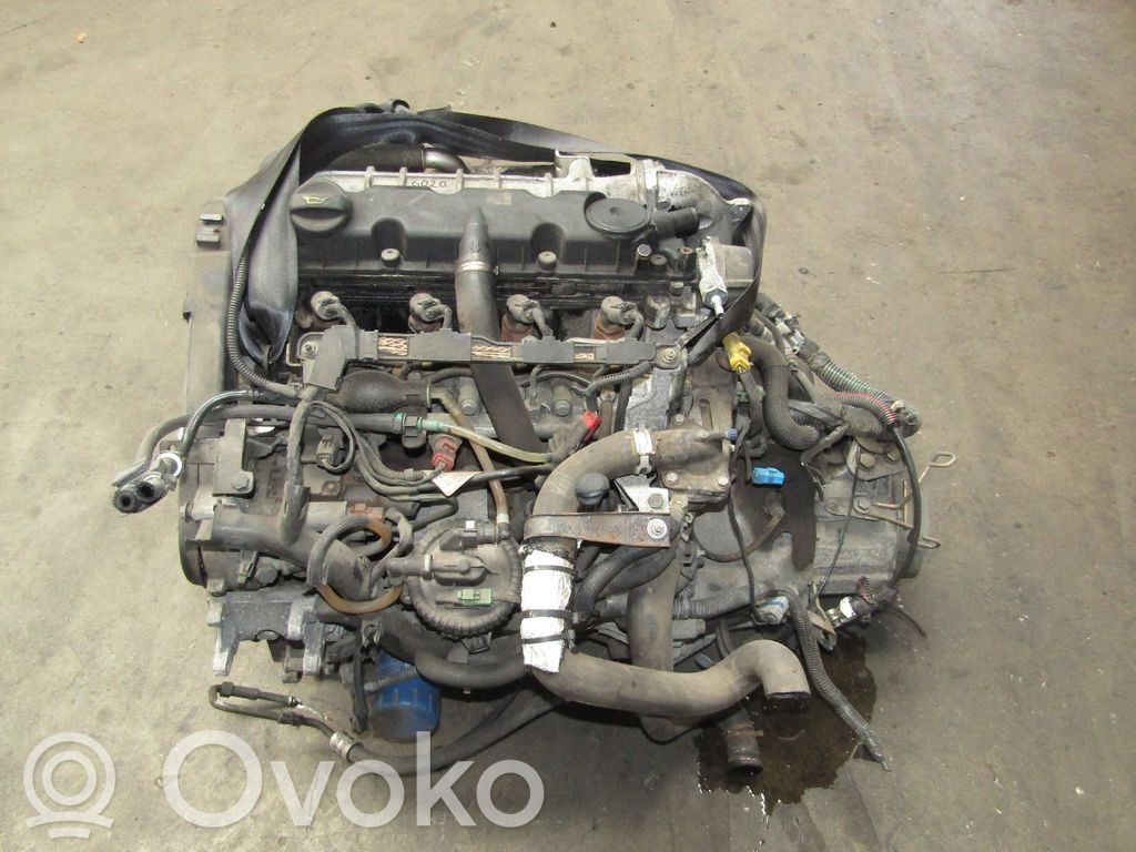 Variklis   135FE,135CC