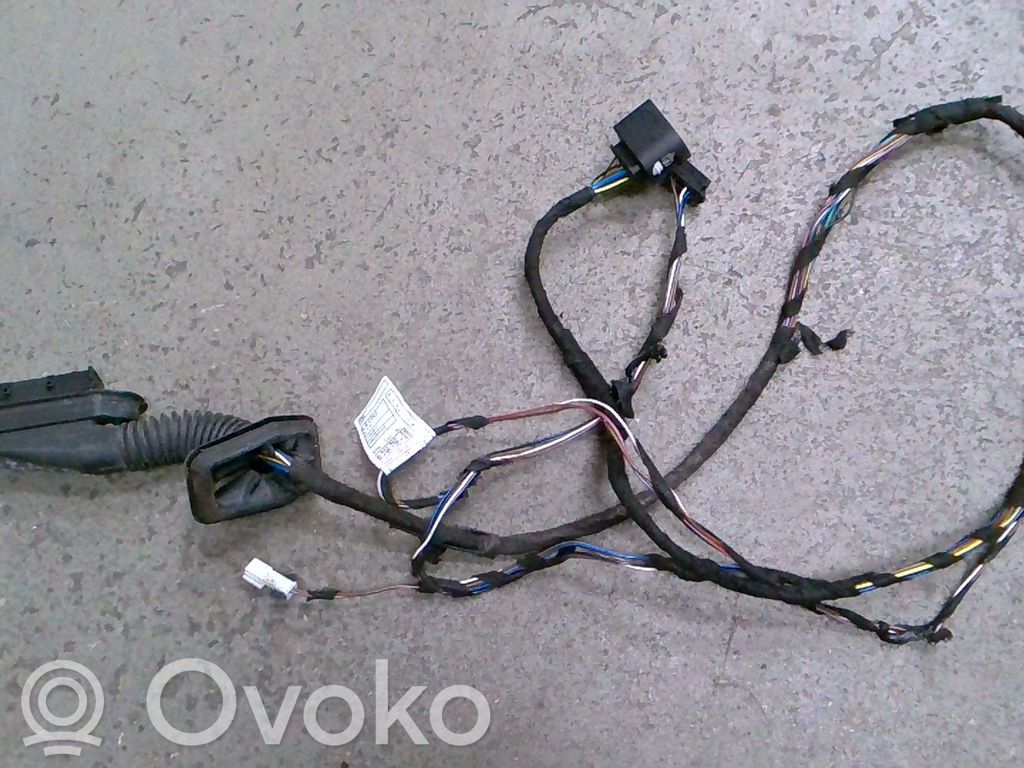 BMW X1 E84 Cableado de puerta trasera 