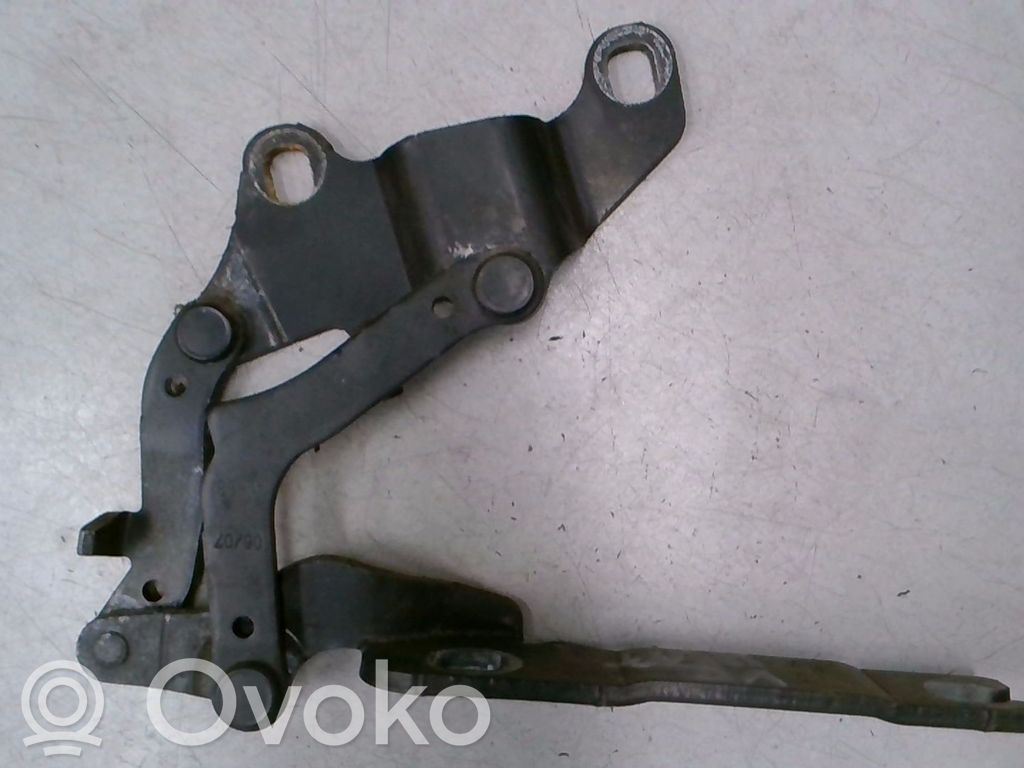 Charnière, capot moteur   41618045404