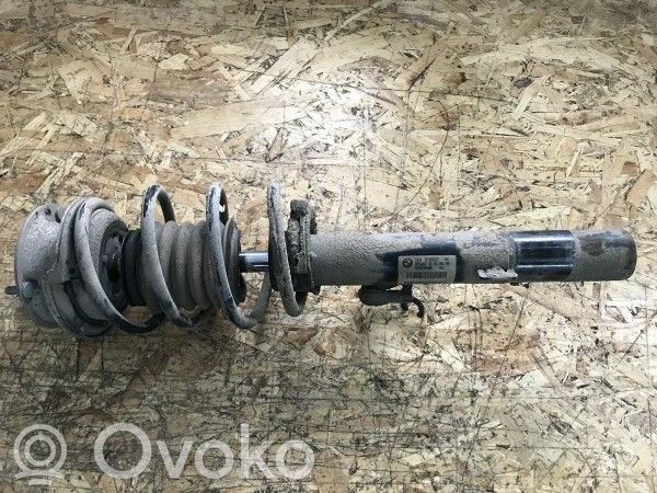 Amortyzator osi przedniej ze sprężyną   678602101,19270
