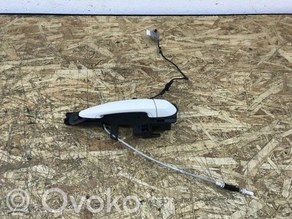 Manecilla externa puerta trasera   7207552,25798