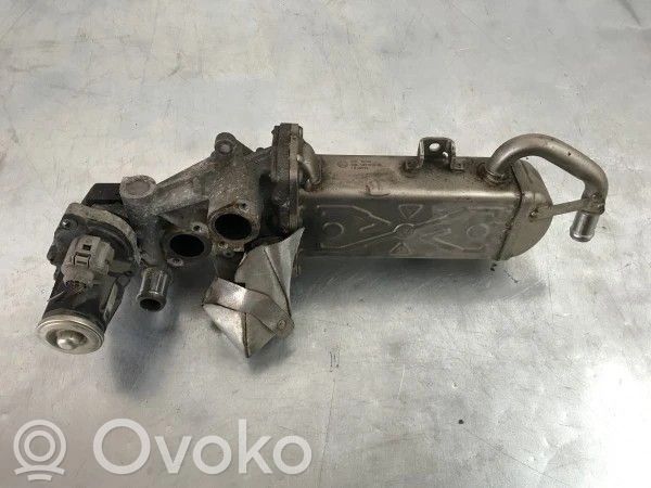 Volkswagen PASSAT B7 Chłodnica spalin EGR 