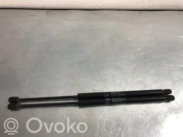 KIA Sorento Ammortizzatore portellone posteriore/bagagliaio 