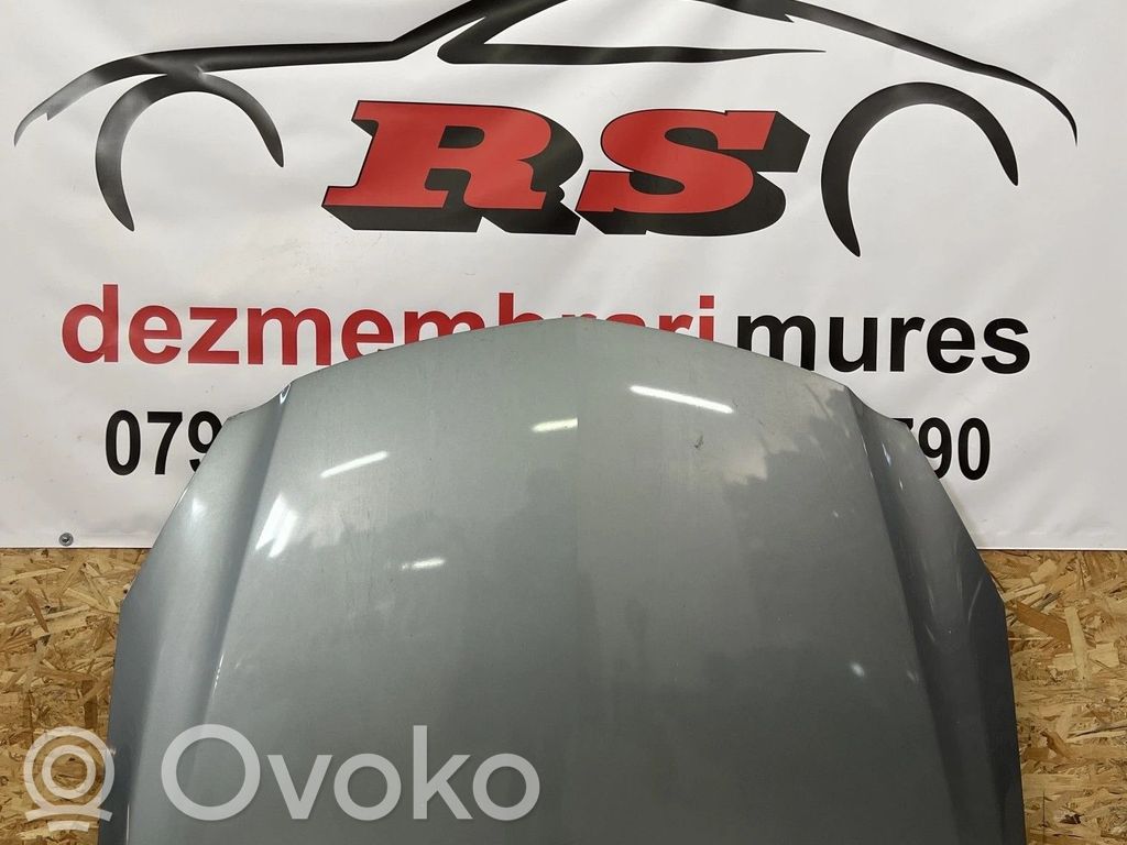 Opel Insignia A Vano motore/cofano 