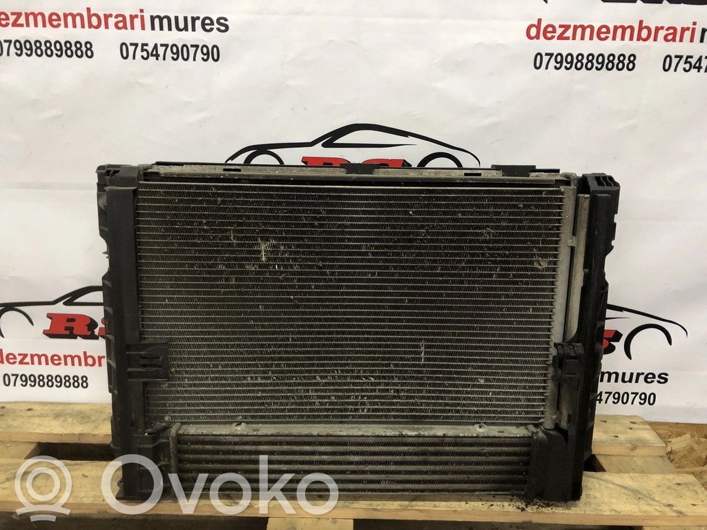 Radiator set   781025802,215248