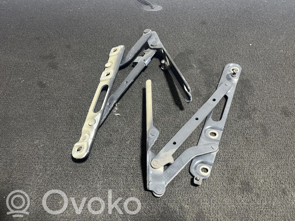 Tailgate/trunk/boot hinge   81191638119164,244284