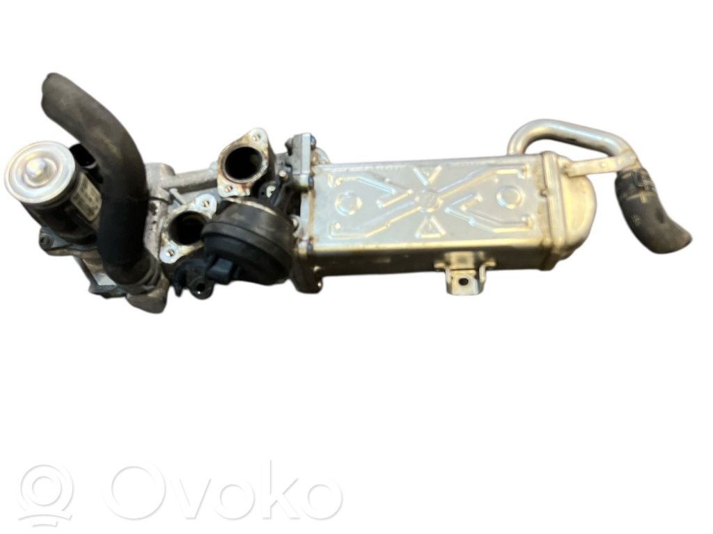 Volkswagen PASSAT B7 EGR-venttiili/lauhdutin 