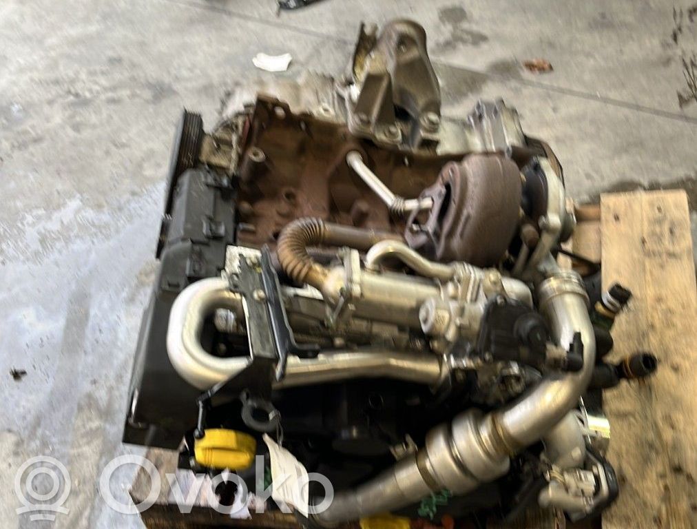 Motor