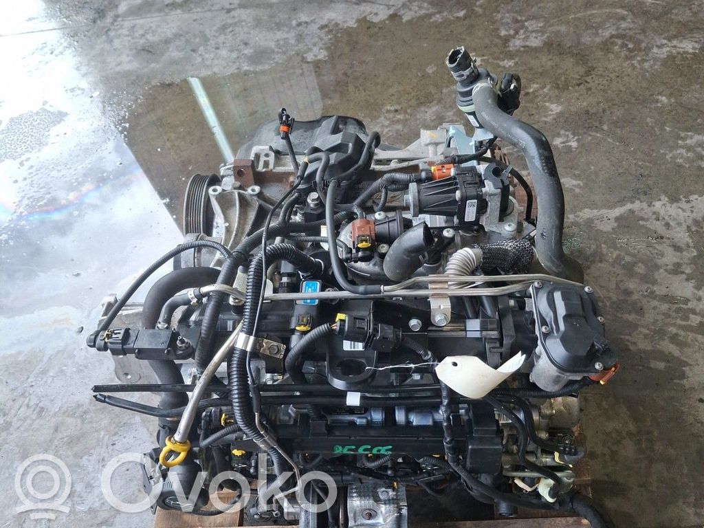 Motor