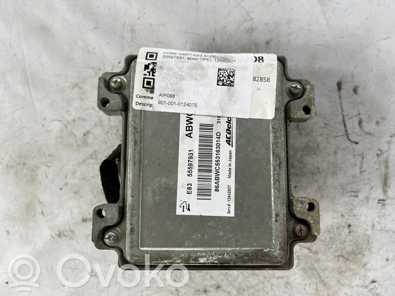Engine control unit/module   12642927,12642927,001001012407E,55597931,ABWC