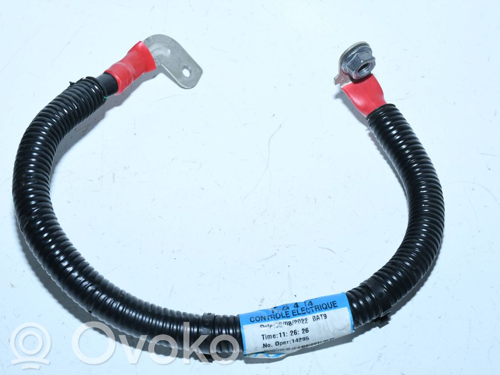 Pluskaapeli (akku)   297D51208R