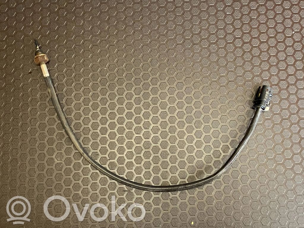 BMW X1 E84 Sensor de temperatura del escape 