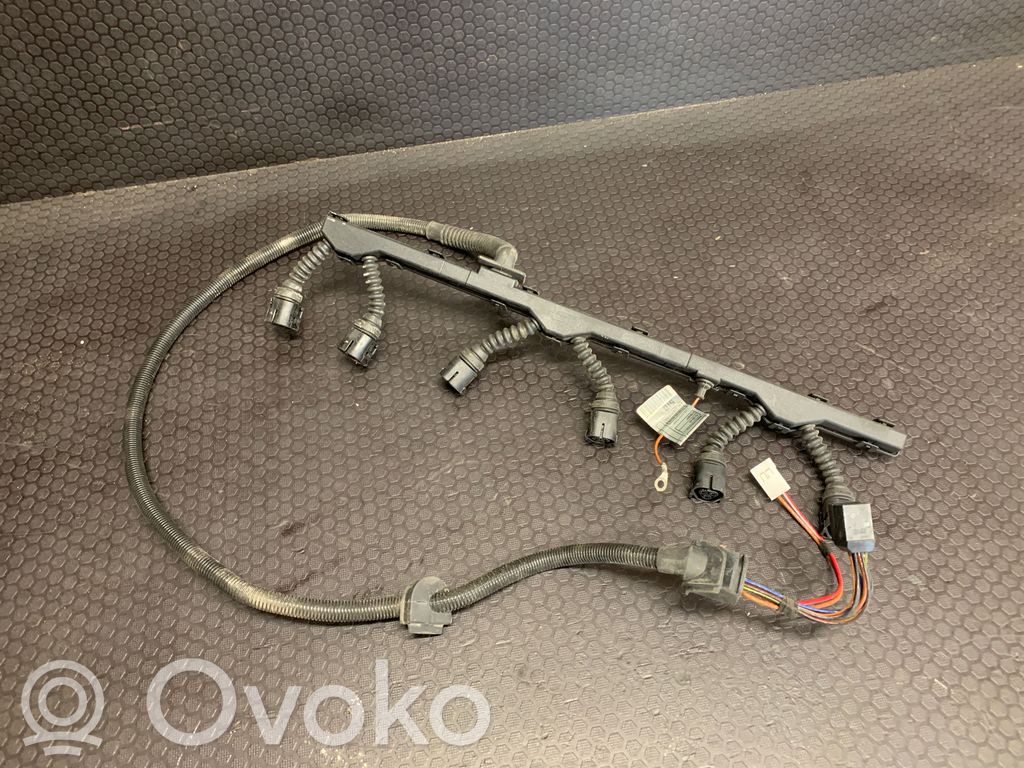 BMW 3 E46 Degalų purkštukų (forsunkių) laidai 
