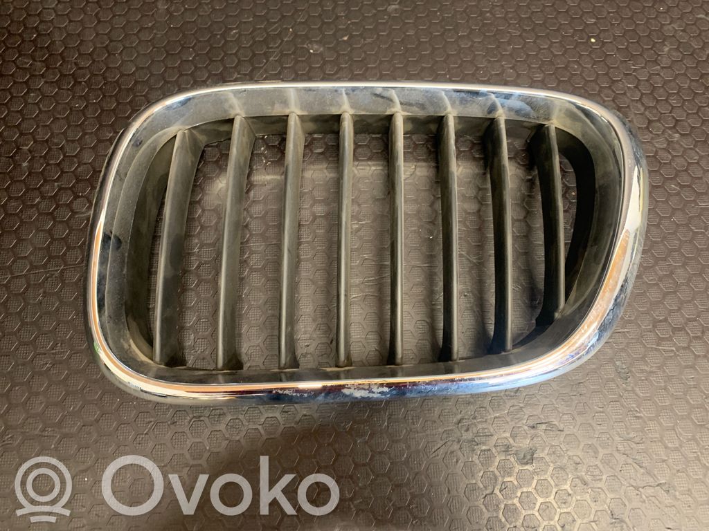 BMW X5 E53 Etusäleikkö 