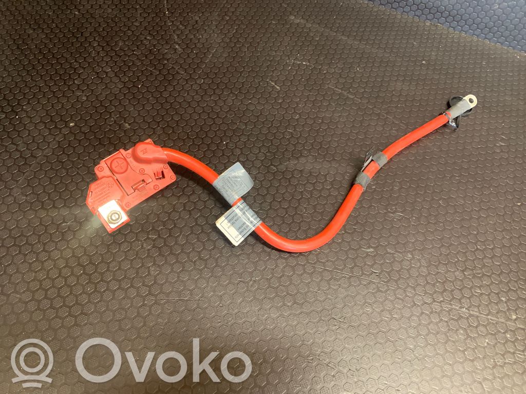 BMW 7 F01 F02 F03 F04 Pliusinis laidas (akumuliatoriaus) 