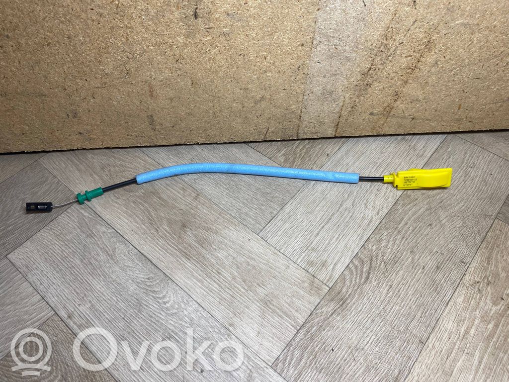 BMW 2 F45 Cablu deschidere ușă spate 