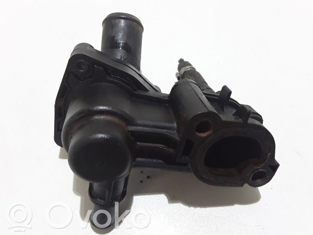 Ford S-MAX Termostatas/ termostato korpusas 