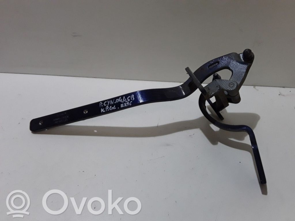 Porsche Cayenne (9PA) Tailgate/trunk/boot hinge 