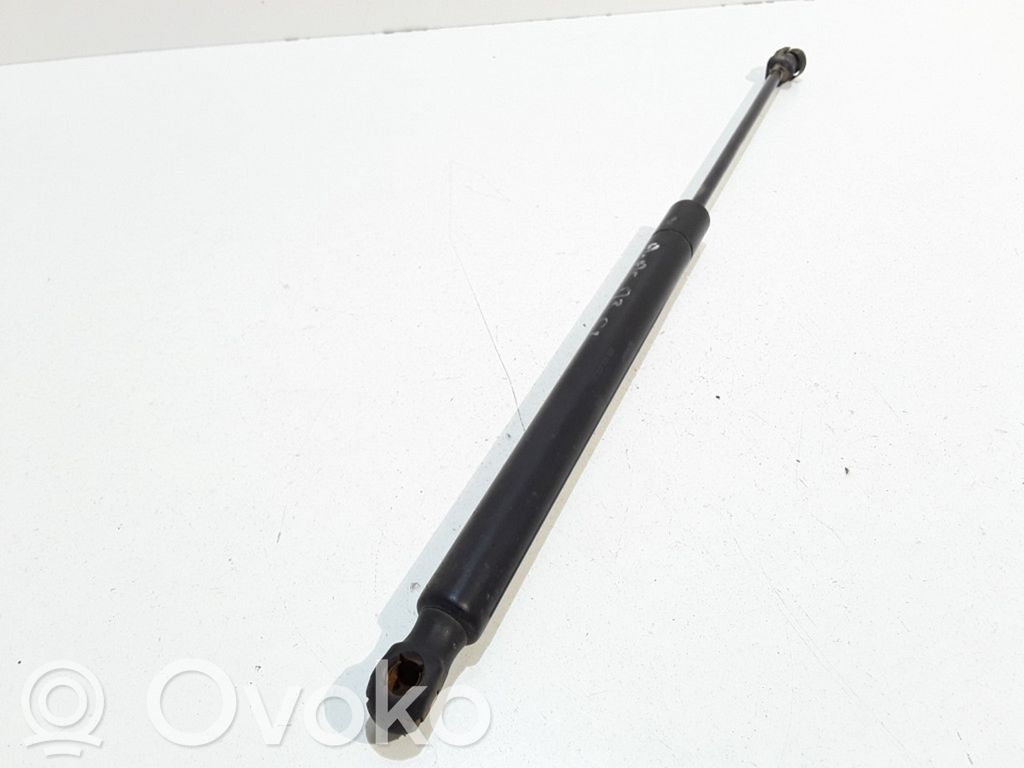 Tailgate/trunk strut/damper