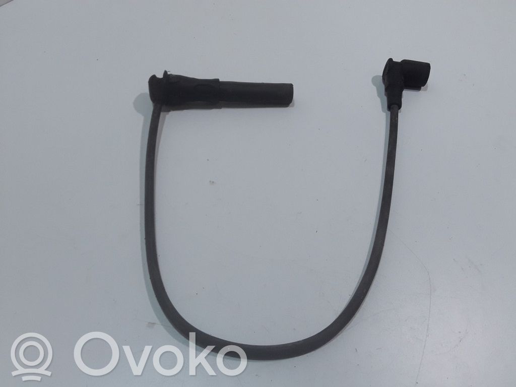 Ignition plug leads