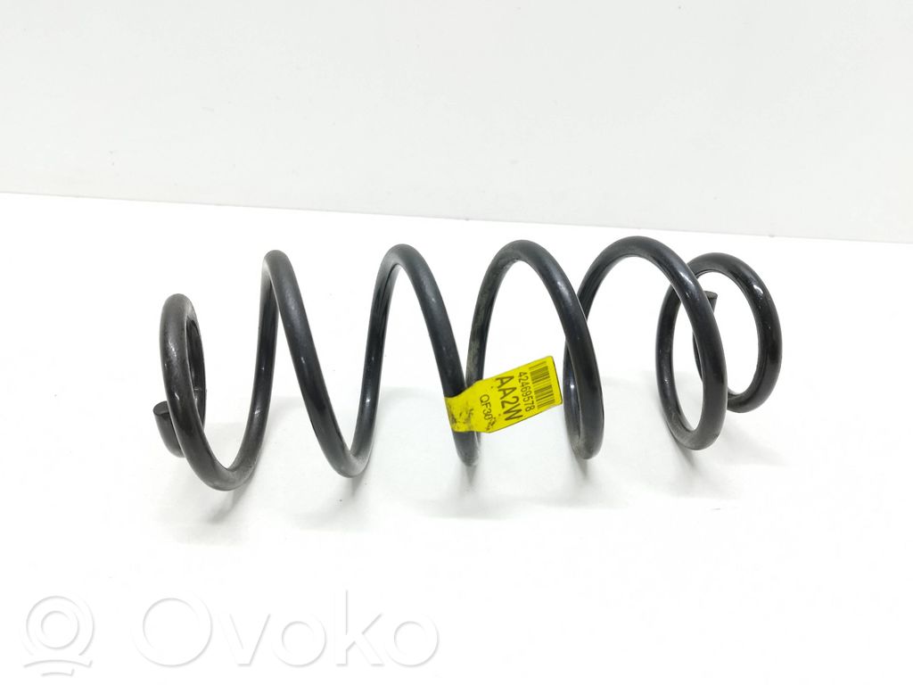 Rear coil spring   42469578