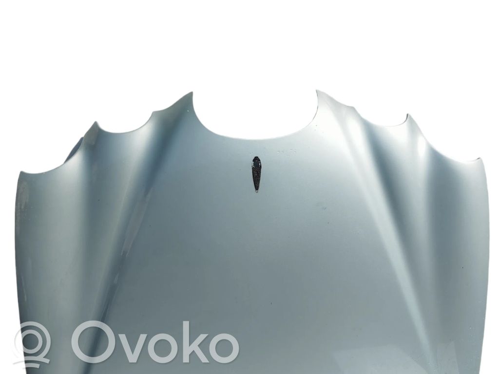 Dzinēja pārsegs (vāks)