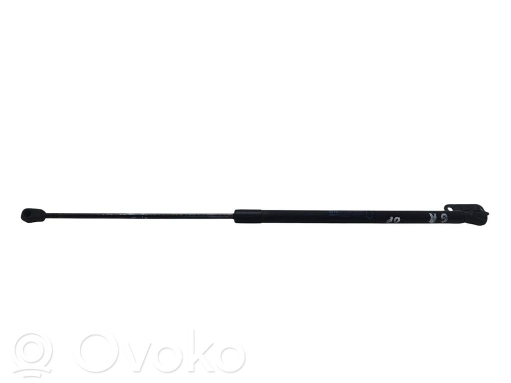 Tailgate/trunk strut/damper   13182309,6553VE0245N