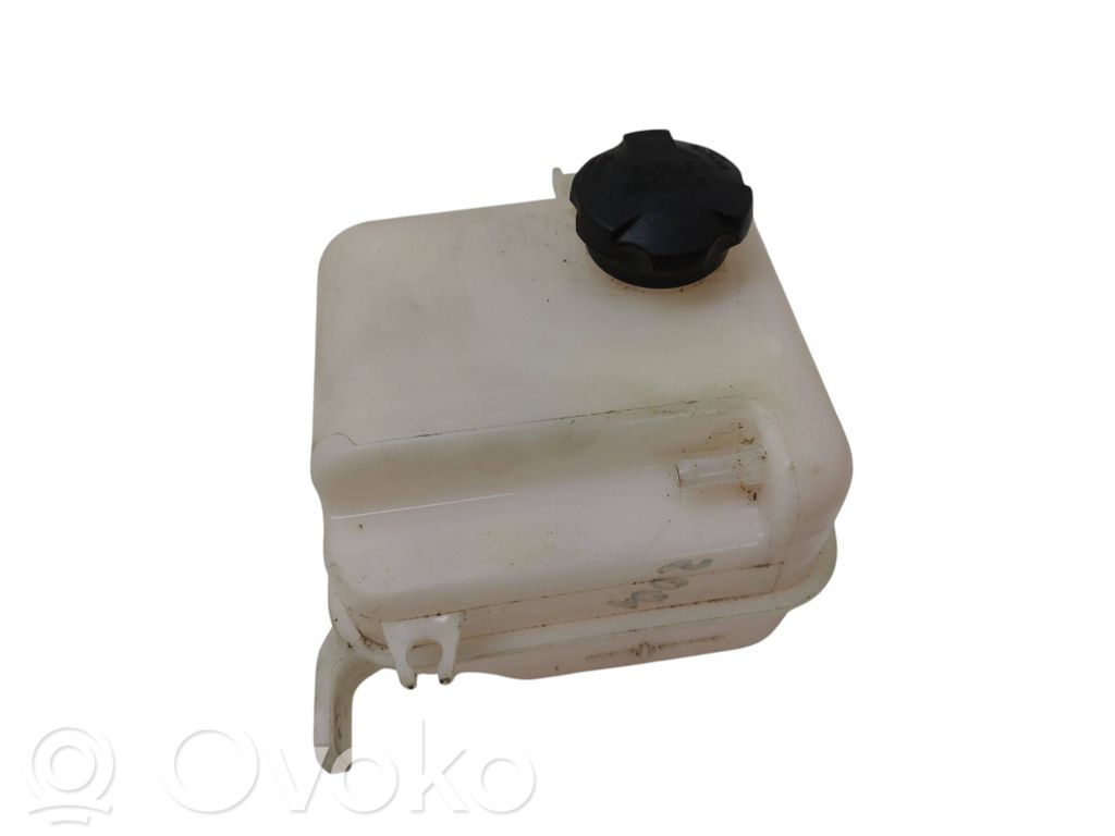 Hyundai i40 Serbatoio di compensazione del liquido refrigerante/vaschetta 