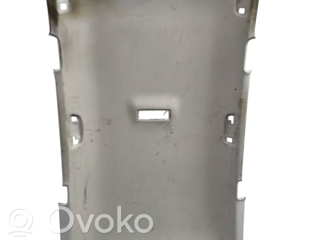 Podsufitka   3G9867501N,3G0857551G,3G0857552H,3G9971100AL,5G0868837,5G0947291K