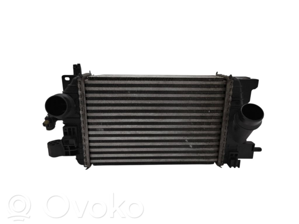 Interkūlerio radiatorius   R3445005,560961104