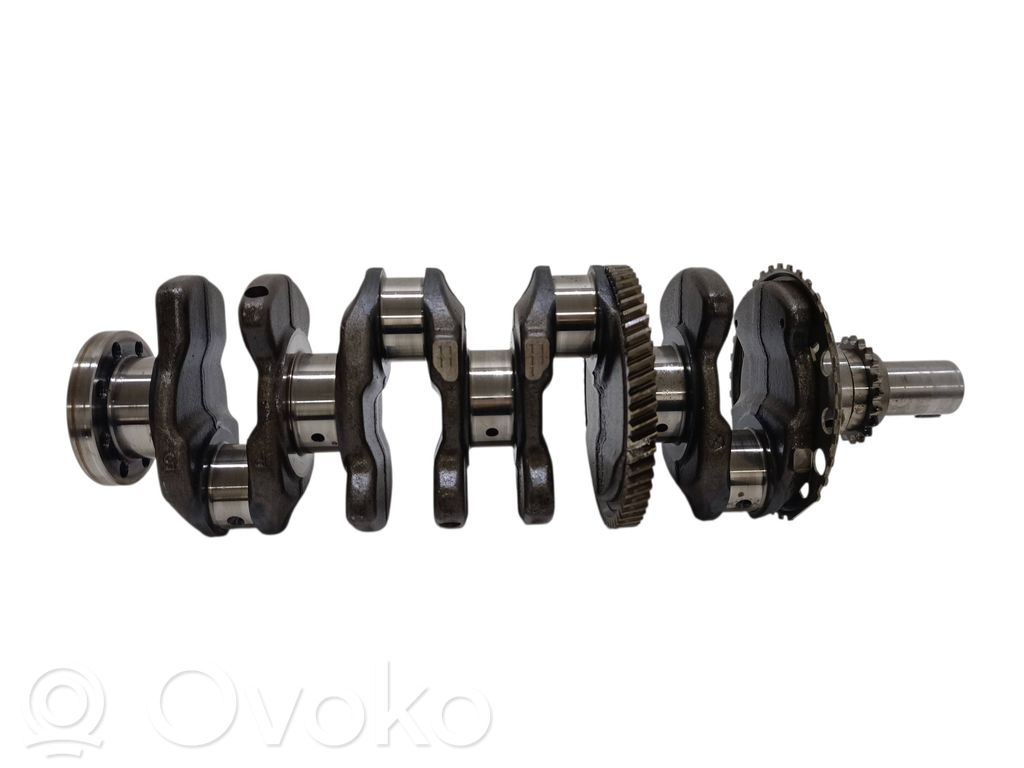 Kampiakseli   7308657