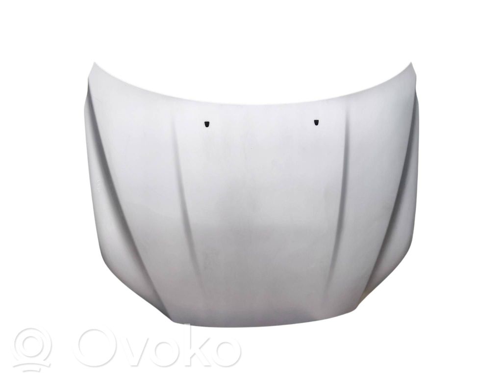 Motorhaube