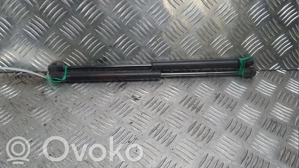 Amortizor hayon   817801Y001