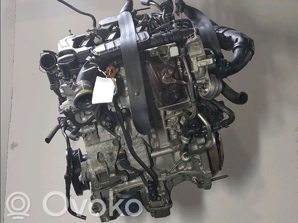 Motore   1616785880