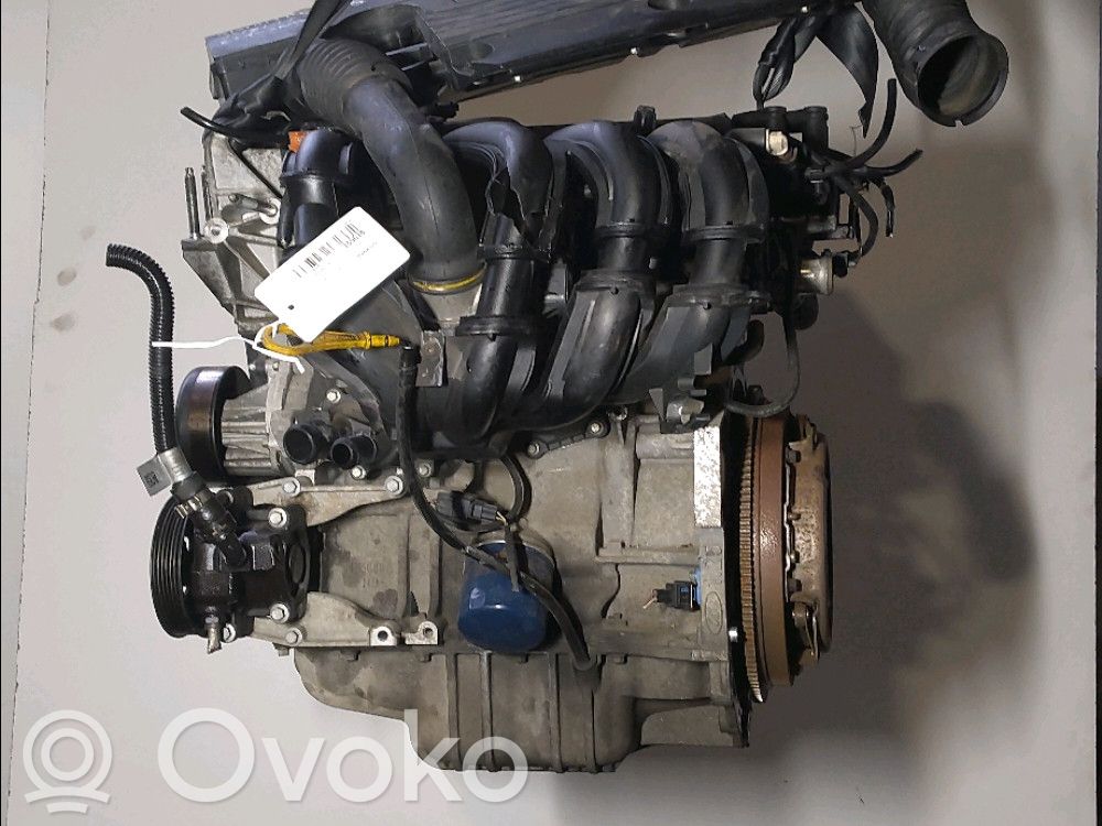Ford Fiesta Variklis 