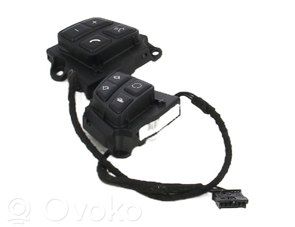 Multifunctional control switch/knob   305227985AE