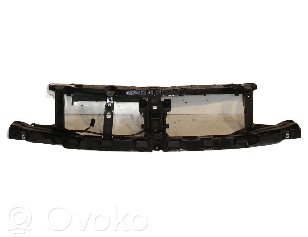 Renault Latitude (L70) Oberes Gitter vorne