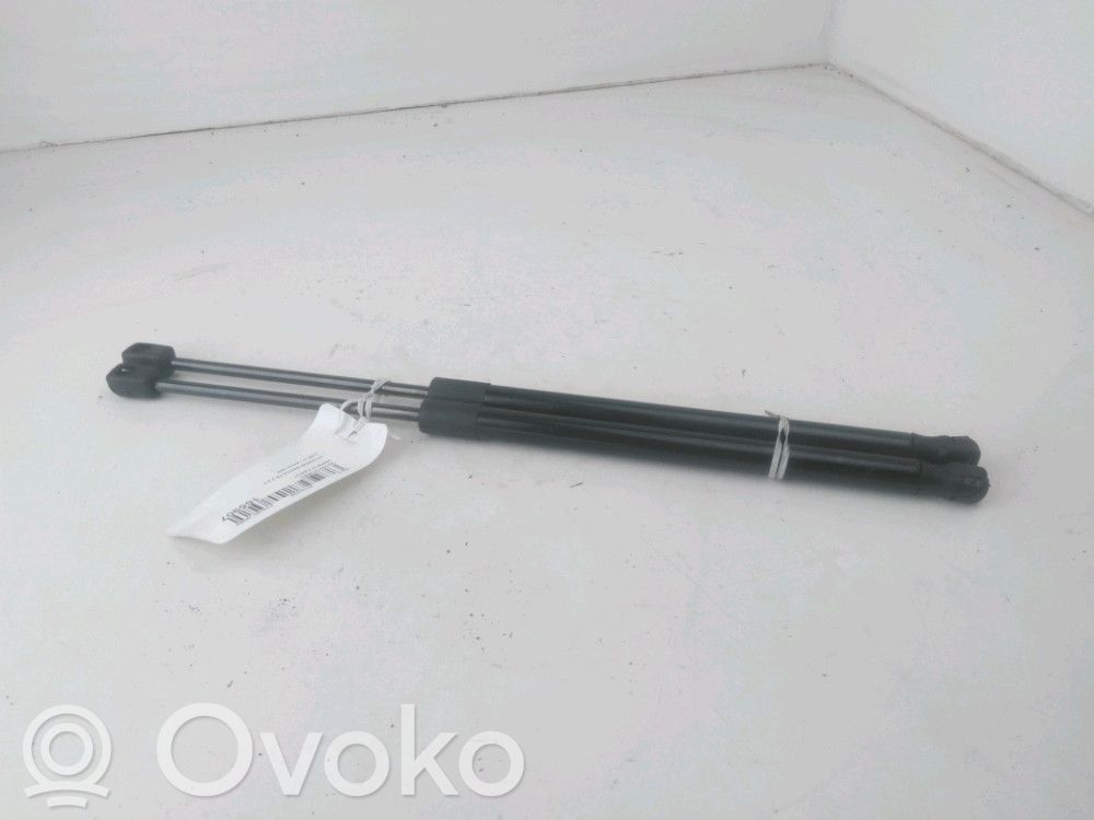 Hyundai Santa Fe Amortiguador/puntal del capó/tapa delantero