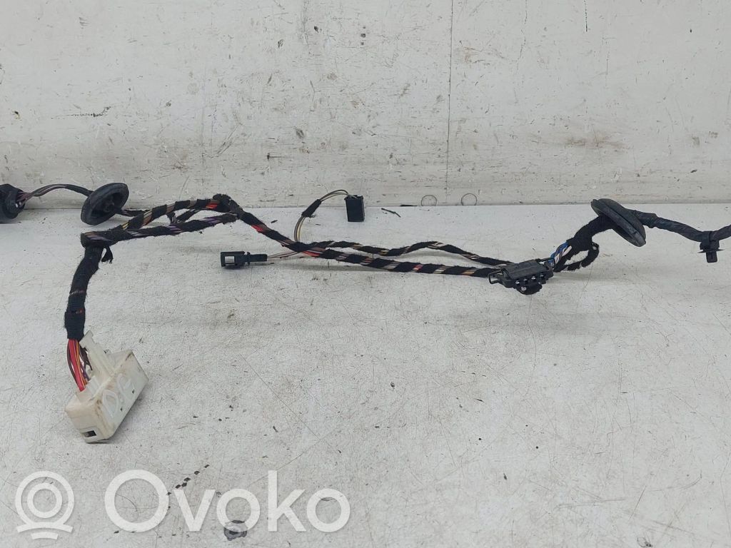Skoda Octavia Mk2 (1Z) Wiązka przewodów drzwi tylnych 