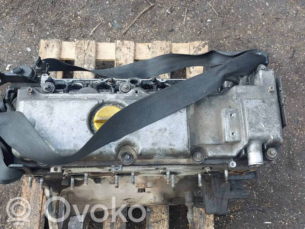 Opel Signum Motor 