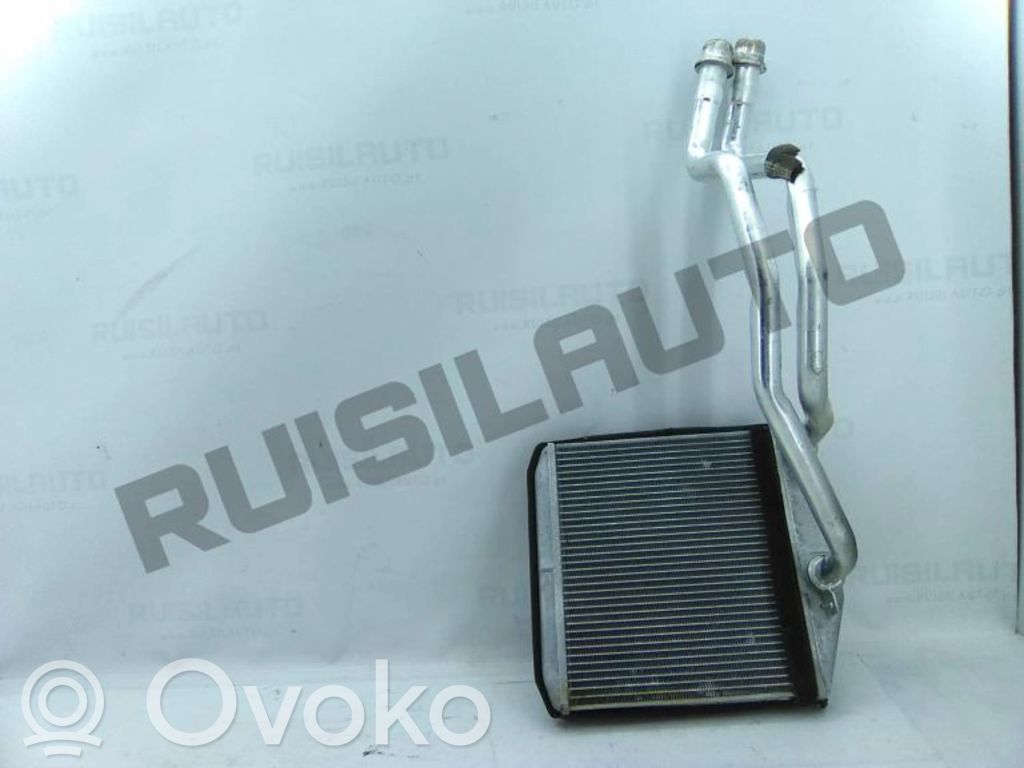 Pečiuko radiatorius   164210100