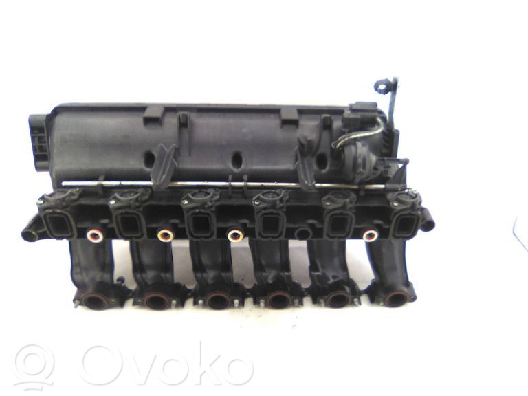 Kolektorius įsiurbimo   7790700