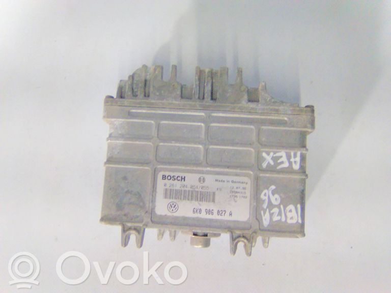 Engine control unit/module   0261204054055