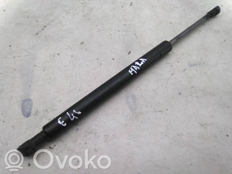 Tailgate/trunk strut/damper   8220075