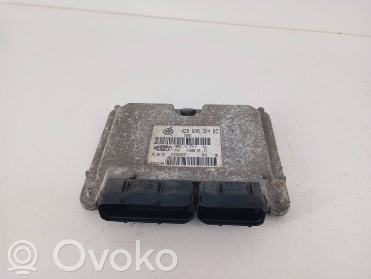 Engine control unit/module   036906034BD