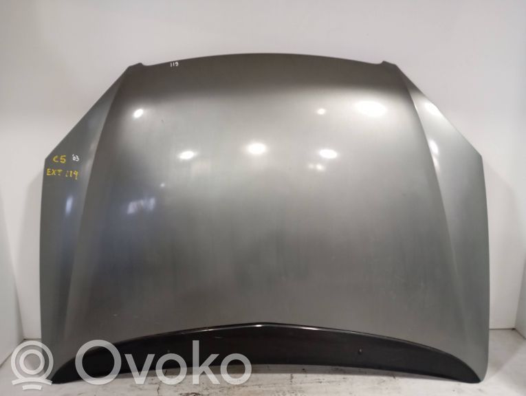 Engine bonnet/hood   NAOVISIVEL