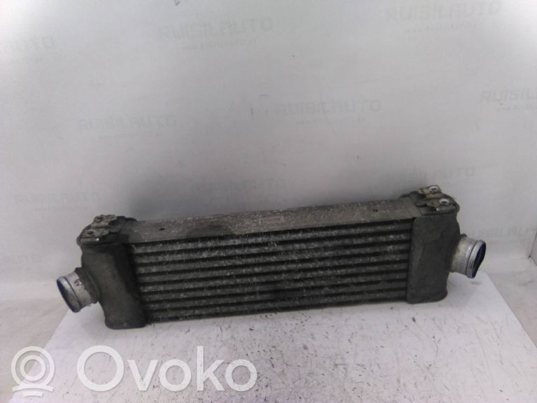 Intercooler radiator   6C119L440AC