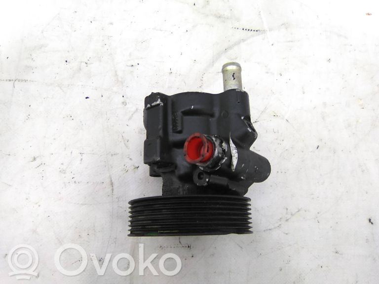 Power steering pump   POLIEDANIFICADA