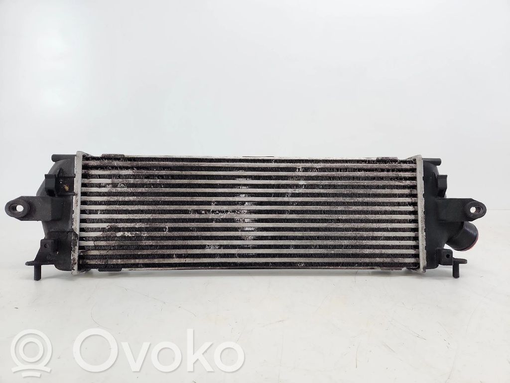 Interkūlerio radiatorius   8200411160,93854162