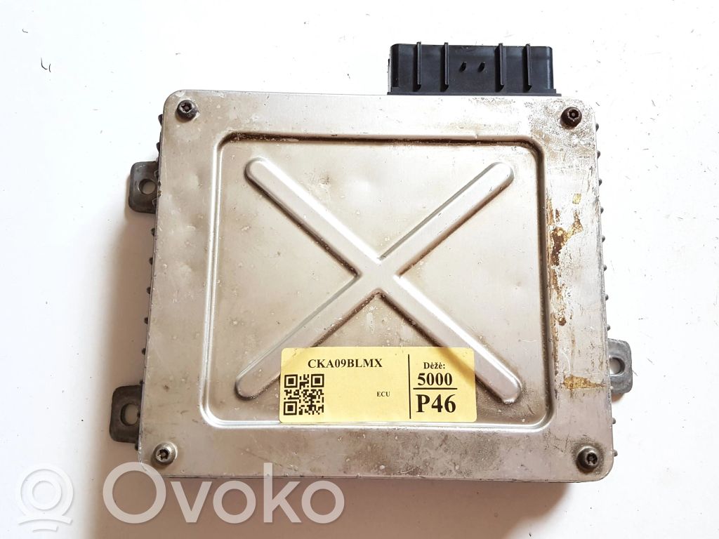 Land Rover Discovery Engine control unit/module 
